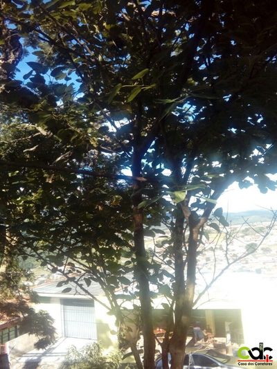 Terreno, 700 m² - Foto 2