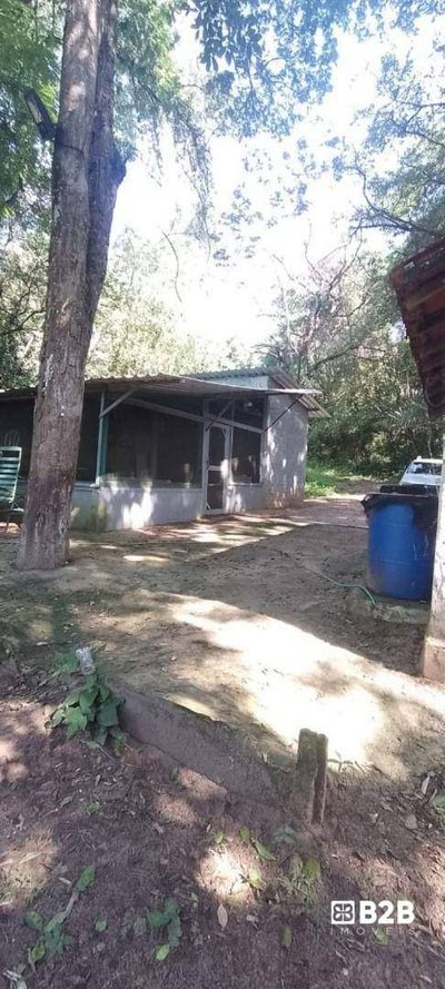 Sítio, 4 hectares - Foto 2