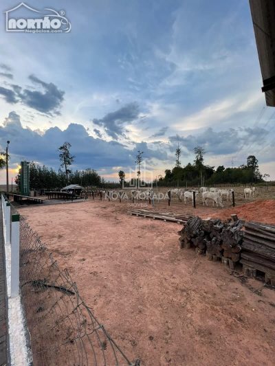 Casa, 3 quartos, 44000 m² - Foto 4