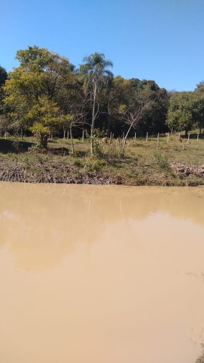 Terreno, 4000 m² - Foto 5