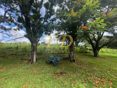 Sítio, 3 quartos, 33 hectares - Foto 4