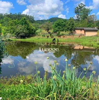 Sítio, 4 quartos, 22001 m² - Foto 4