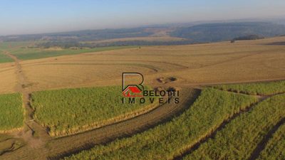 Fazenda, 203 hectares - Foto 1