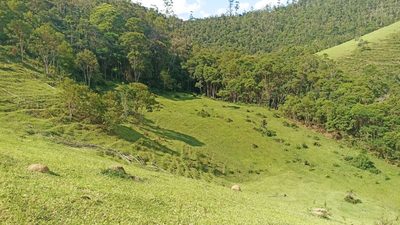 Sítio, 2 quartos, 350 m² - Foto 5