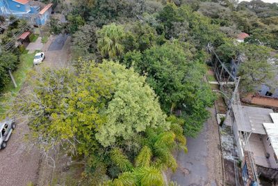 Terreno, 316 m² - Foto 4