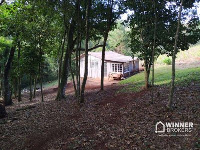 Chácara, 2 quartos, 3 hectares - Foto 3