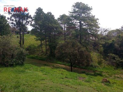 Terreno, 6 hectares - Foto 4
