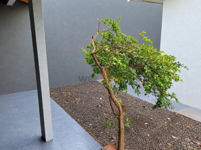 Casa, 2 quartos, 46 m² - Foto 3