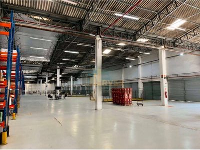 Depósito-Galpão, 9507 m² - Foto 5