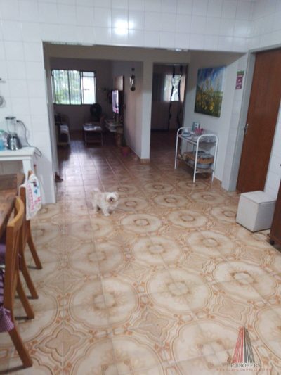 Sítio, 3 quartos, 2 hectares - Foto 4