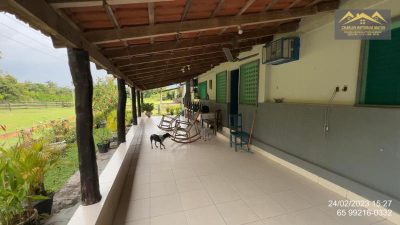 Fazenda - Foto 3