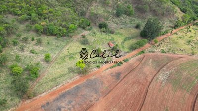 Sítio, 7 hectares - Foto 3