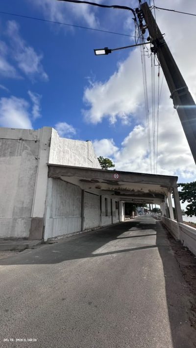 Depósito-Galpão - Foto 3