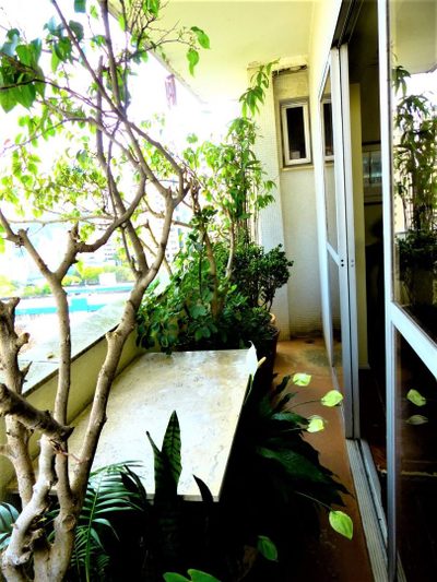 Apartamento, 3 quartos, 203 m² - Foto 5