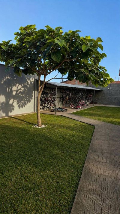 Apartamento, 3 quartos, 48 m² - Foto 5