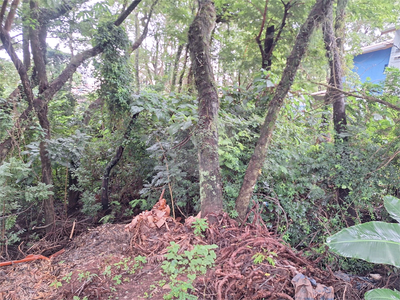 Terreno, 330 m² - Foto 5