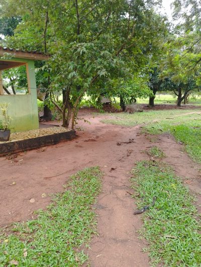Sítio, 15 hectares - Foto 4