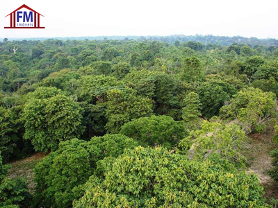 Fazenda - Foto 1