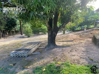 Casa, 3 quartos, 4000 m² - Foto 5