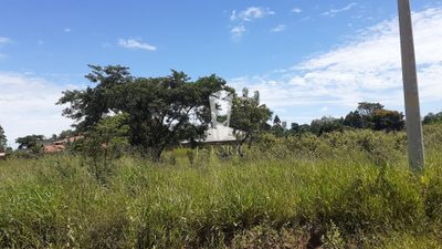 Terreno, 1250 m² - Foto 3