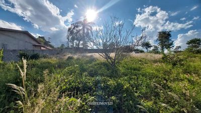Fazenda - Foto 4
