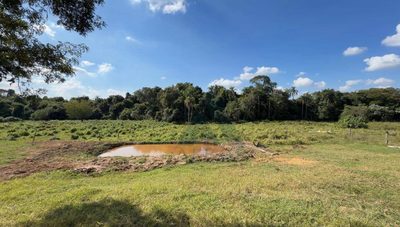 Terreno, 4200 m² - Foto 3