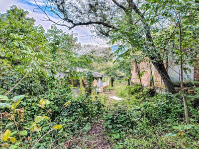 Terreno, 3034 m² - Foto 4
