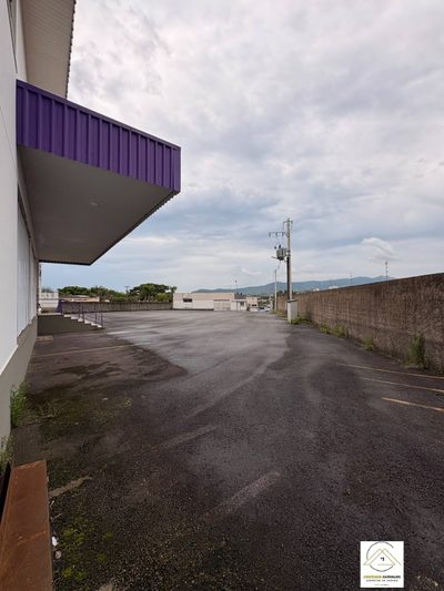 Depósito-Galpão, 4500 m² - Foto 4