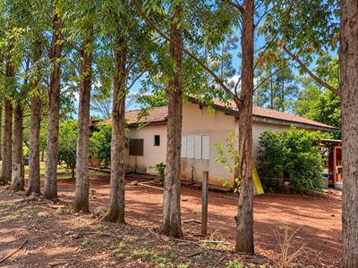 Sítio, 3 quartos, 8000 m² - Foto 4