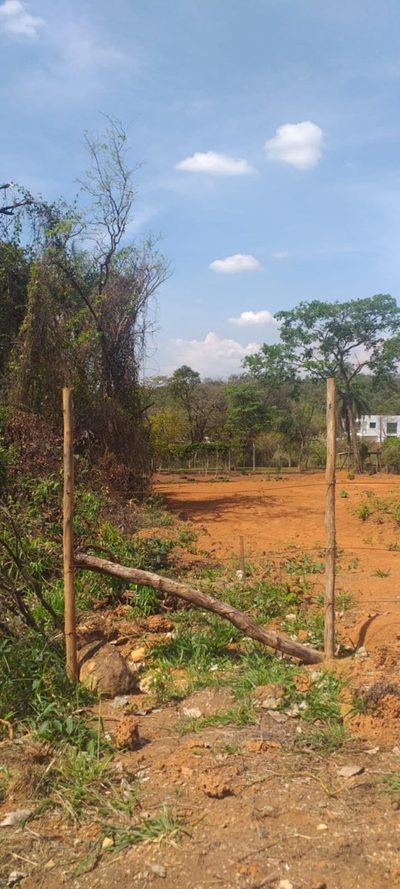 Chácara, 1 quarto, 1000 m² - Foto 3