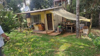 Terreno, 3 hectares - Foto 3
