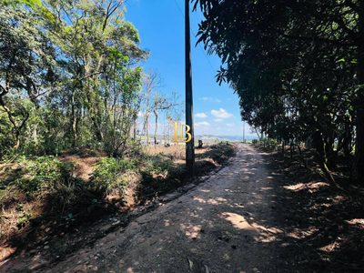 Terreno, 2 hectares - Foto 1