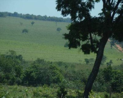 Fazenda, 505 m² - Foto 1