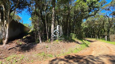 Terreno, 2500 m² - Foto 4