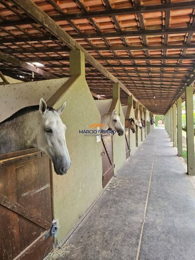 Fazenda, 11 hectares - Foto 1
