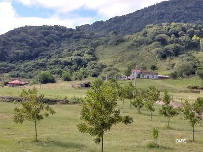 Sítio, 4 quartos, 110000 hectares - Foto 3