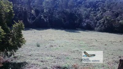 Terreno, 2 hectares - Foto 3