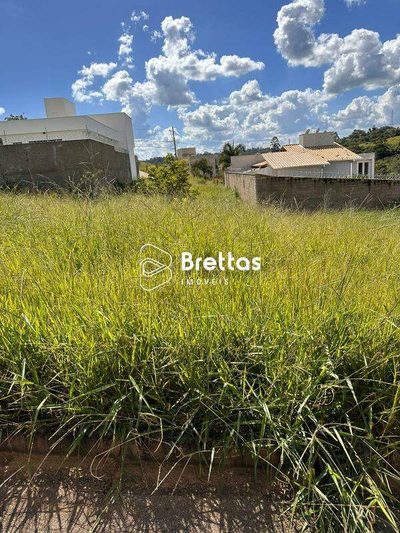 Terreno, 300 m² - Foto 5