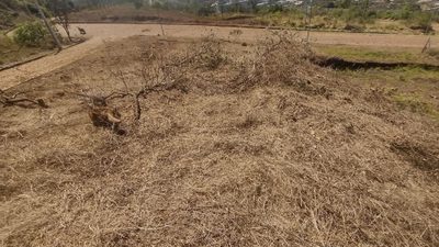 Terreno, 488 m² - Foto 5