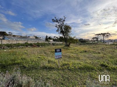 Terreno - Foto 3