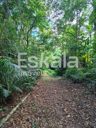 Terreno, 5 hectares - Foto 1