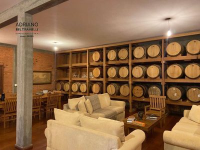 Sítio, 4 quartos, 7 hectares - Foto 3