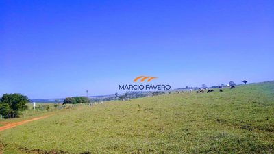 Fazenda, 184 hectares - Foto 4