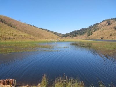 Fazenda, 46 hectares - Foto 4