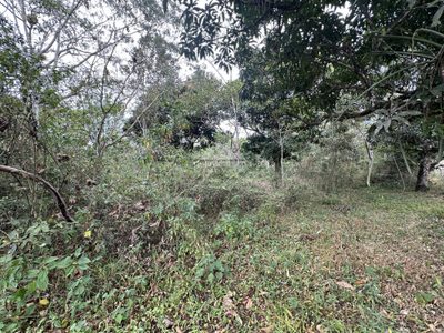 Terreno, 589 m² - Foto 4