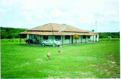 Fazenda, 3242 hectares - Foto 1