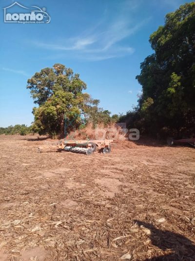 Casa, 242000 m² - Foto 1