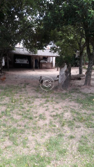 Chácara, 4 quartos, 3 hectares - Foto 4