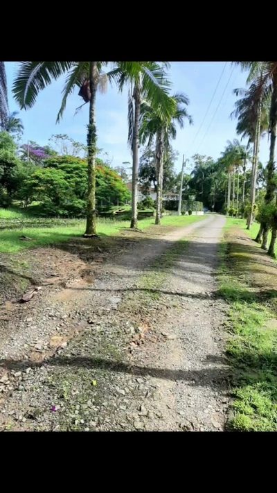 Fazenda, 2 hectares - Foto 3