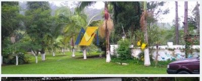 Chácara, 5 quartos, 10000 m² - Foto 3